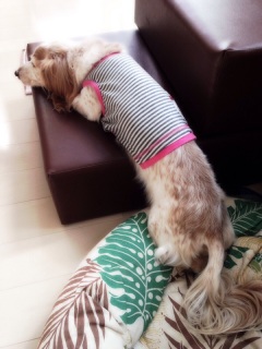 �T���[�����B