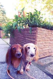 �T���[����A�g������B