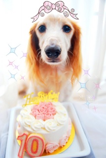 Happy Birthday!!