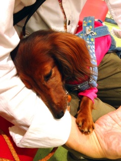 ZZZ�c