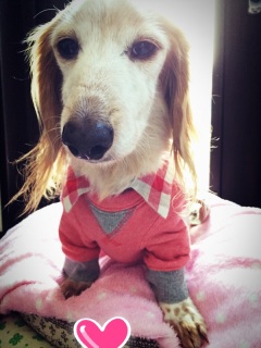 �����̗m���B