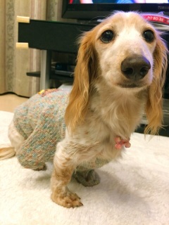 �T���[�����B