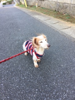 ���x���Ȃ��݁c