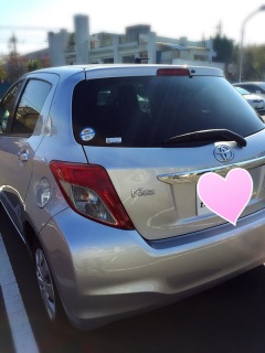 Vitz�B
