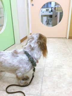 �a�@�B