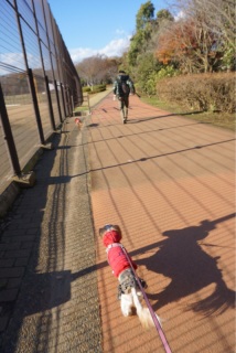 �����́c
