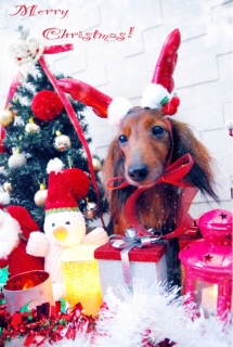 Merry Christmas by Atom.