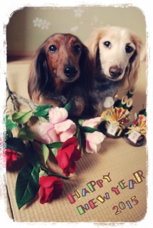 Happy New Year !