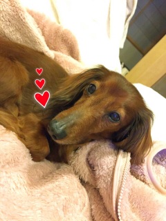 �A�g��������