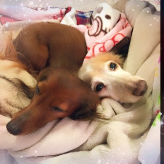 �T���[����A�g������B