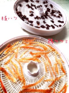 �钆�c