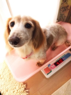 �T���[�����B