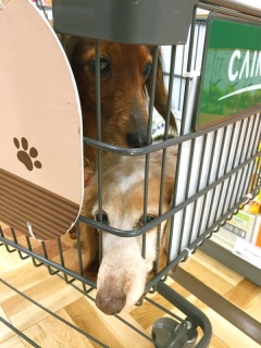 �[������c
