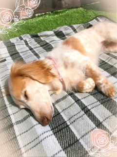 �������́c