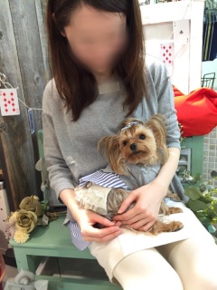 PPGirl�́c