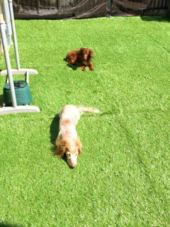 �������V�C���ˁ`��