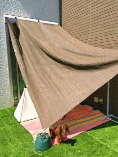 ���N���c