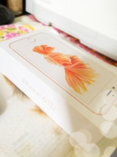 iPhone6sB